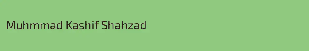 Muhmmad Kashif Shahzad